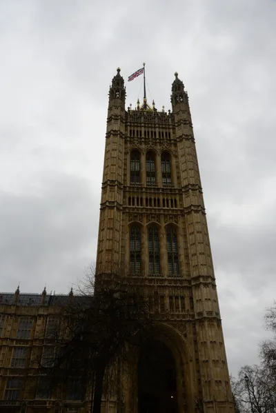 DSC_5626 (Large).JPG